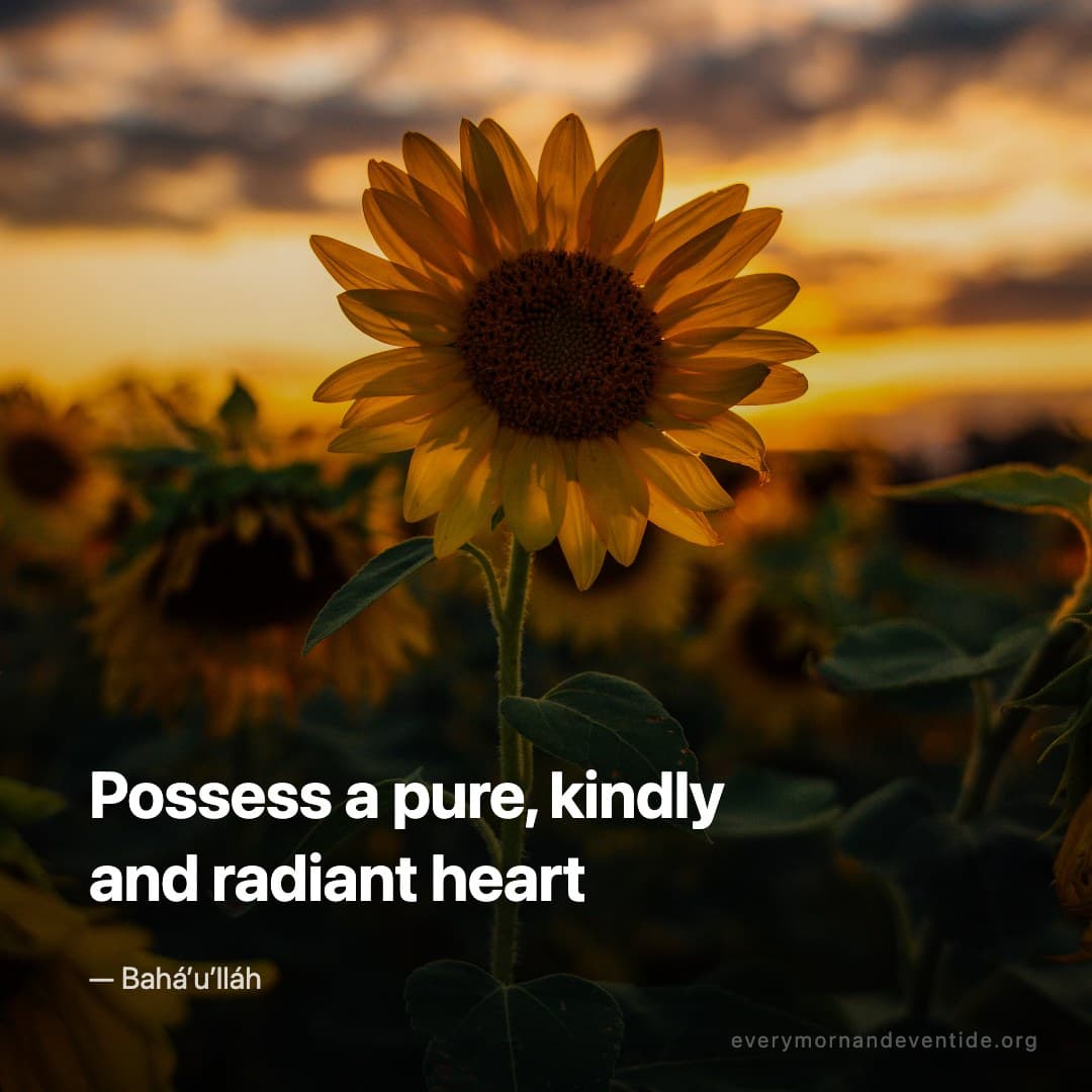 Possess a pure, kindly and radiant heart — Bahá’u’lláh