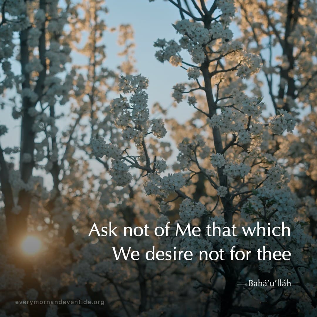Ask not of Me that which We desire not for thee — Bahá’u’lláh