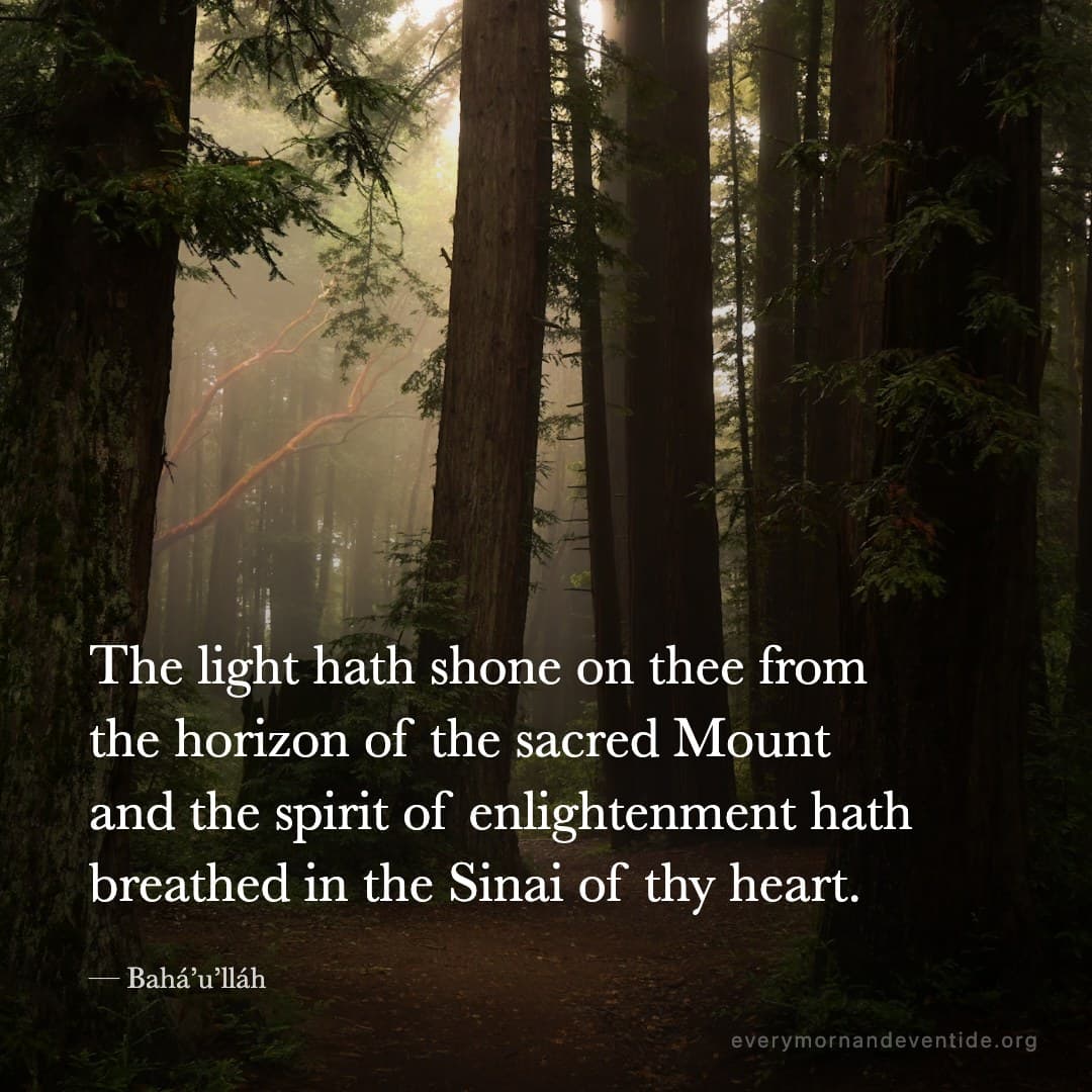 The light hath shone on thee from the horizon of the sacred Mount and the spirit of enlightenment hath breathed in the Sinai of thy heart. — Bahá’u’lláh