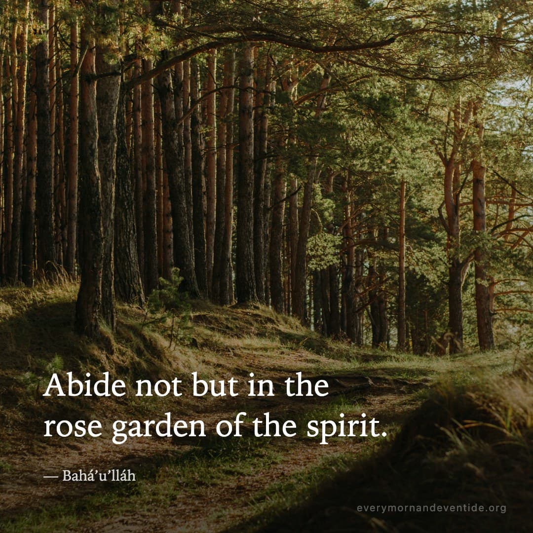 Abide not but in the rose garden of the spirit. — Bahá’u’lláh
