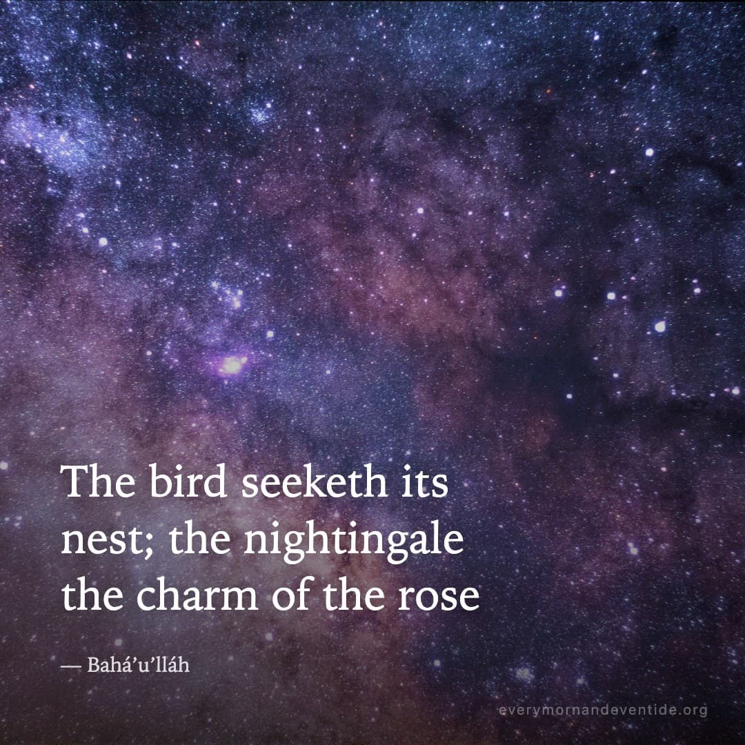The bird seeketh its nest; the nightingale the charm of the rose — Bahá’u’lláh
