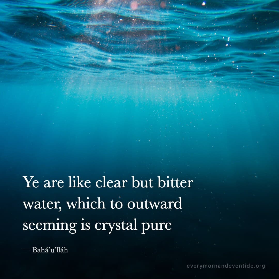 Ye are like clear but bitter water, which to outward seeming is crystal pure — Bahá’u’lláh