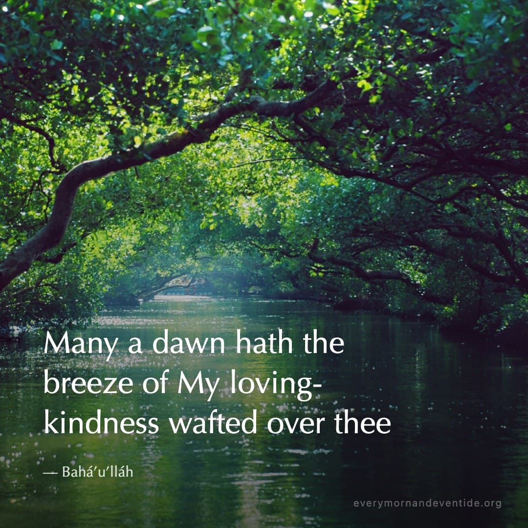 Many a dawn hath the breeze of My loving-kindness wafted over thee — Bahá’u’lláh