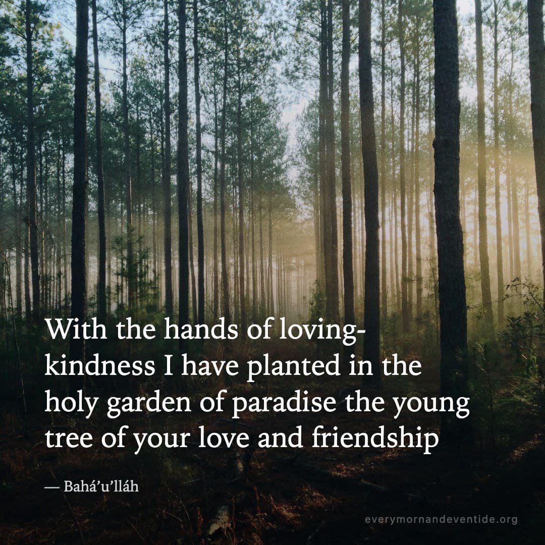 With the hands of loving-kindness I have planted in the holy garden of paradise the young tree of your love and friendship — Bahá’u’lláh
