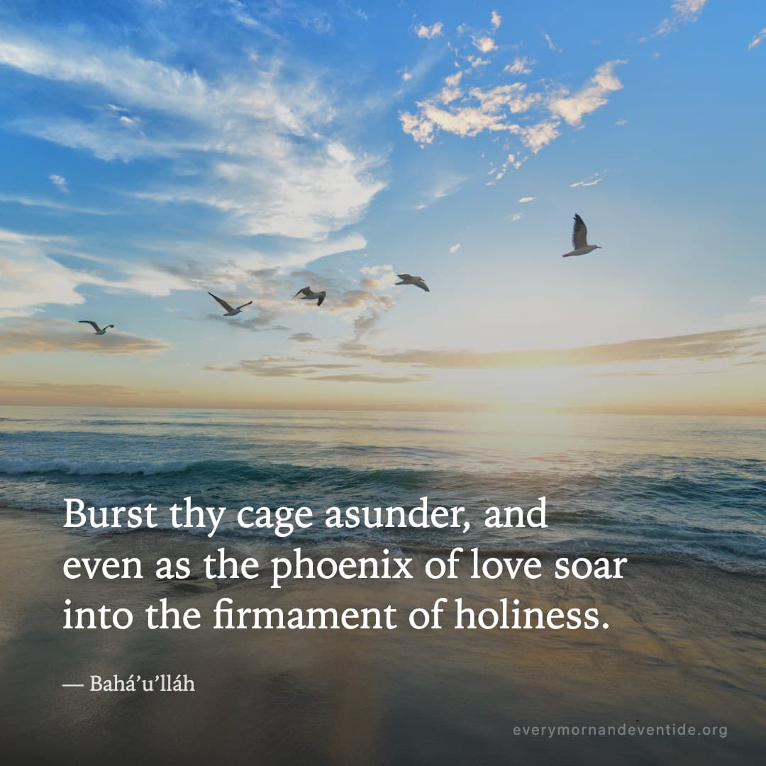 Burst thy cage asunder, and even as the phoenix of love soar into the firmament of holiness. — Bahá’u’lláh