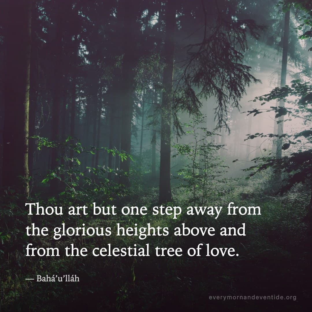 Thou art but one step away from the glorious heights above and from the celestial tree of love. — Bahá’u’lláh