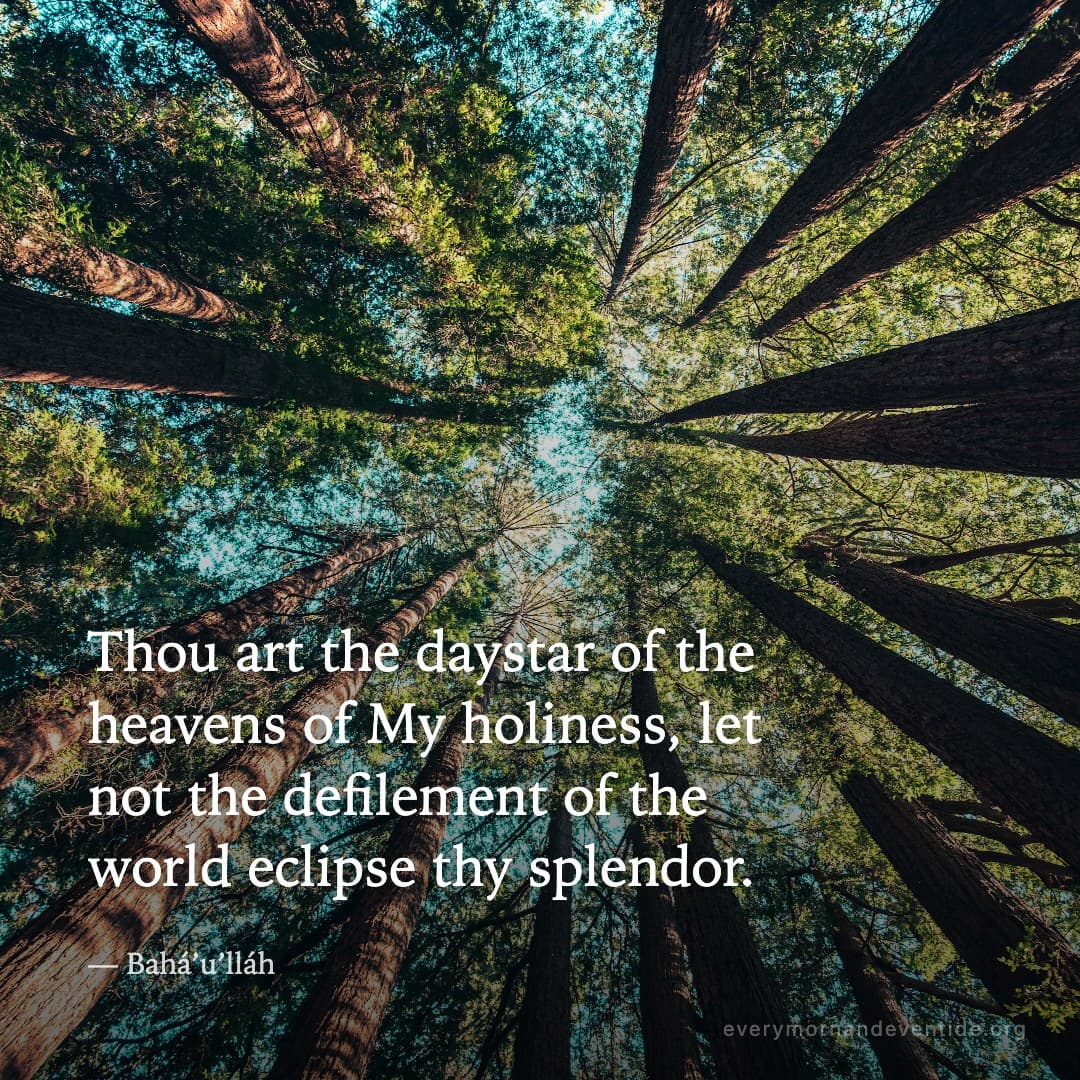 Thou art the daystar of the heavens of My holiness, let not the defilement of the world eclipse thy splendor. — Bahá’u’lláh