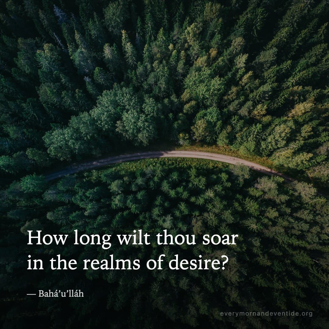 How long wilt thou soar in the realms of desire? — Bahá’u’lláh
