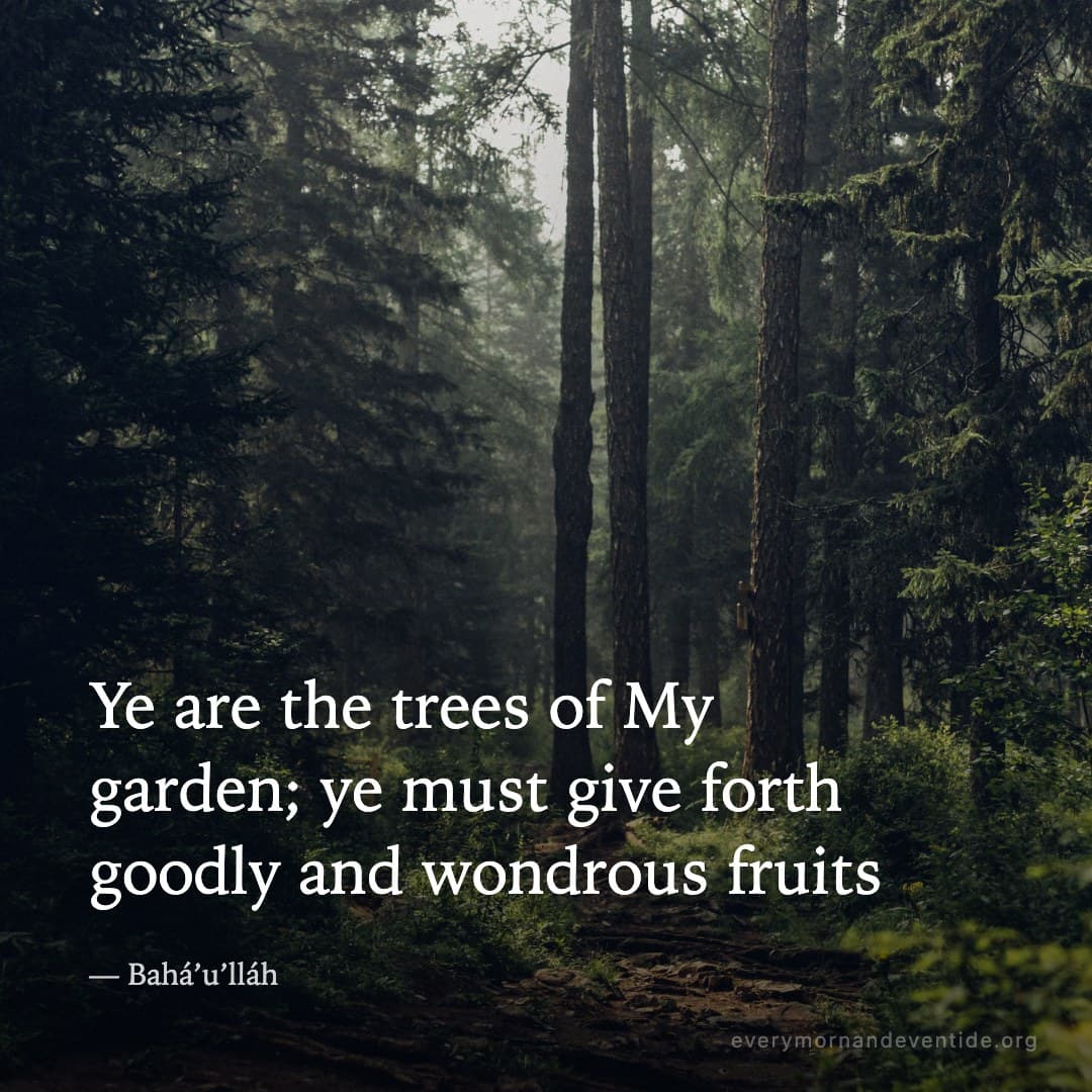 Ye are the trees of My garden; ye must give forth goodly and wondrous fruits — Bahá’u’lláh